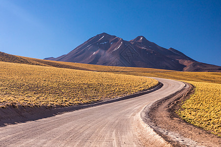 阿塔卡马沙漠 智利 安第斯 南美 美丽的景色和风景动物岩石国家日落天空旅行编队火山山脉沙漠图片