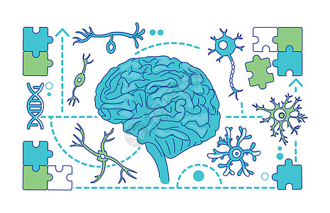 神经病学神经科学细线概念向量它制作图案图片