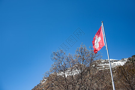 树丛里有山岳和树木图片