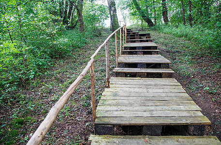 林中木制楼梯小路人行道叶子环境公园途径木头阳光远足森林图片