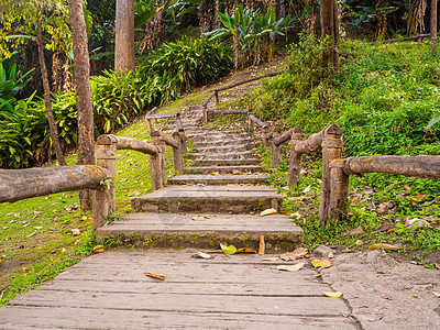 山上走道的老石阶梯花园绿色植物公园踪迹旅行人行道楼梯风景木头图片