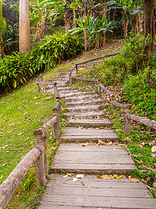 山上走道的老石阶梯叶子植物人行道旅行公园脚步木头森林花园楼梯图片