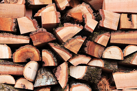 木伐木背景 木材烟头堆叠纹理 木材木板桩背景森林木头硬木材料松树酒吧自然记录木工屁股背景图片