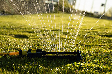 草坪喷水器在绿草上喷水 灌溉庭院草的现代设备 灌溉系统  在花园里浇水的技术 用洒水器给草坪浇水液体院子喷雾器绿化塑料水滴草皮园图片