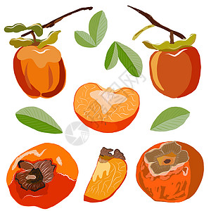 Persimmon 设置在白色背景上隔离 整块和切片沙龙果矢量插图卡片食物衣服热带柿子种子橙子叶子食品沙龙图片