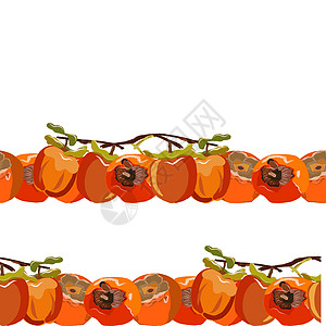 以叶片无缝的横向边框矢量插图绘制整个 Persimmon 整体图片