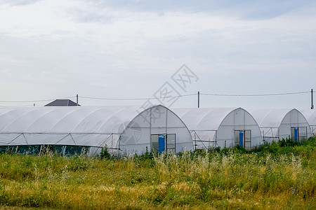 种植西红柿和黄瓜的大型工业温室栽培食物大棚树篱种植园生产绿色植物技术木框农业图片