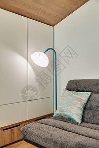一个现代房间 有沙发和地板灯装饰地面长椅家具桌子建筑学房子休息室风格枕头图片