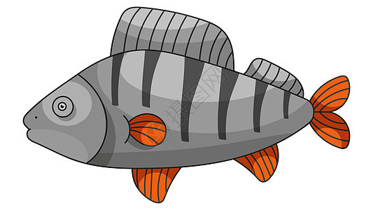 淡水黄鲈插图艺术平面设计 Fil野生动物海鲜海洋食物动物渔业艺术品海报橙子钓鱼图片