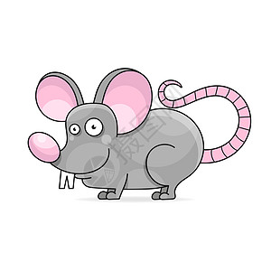 家鼠白色背景上孤立的插图哺乳动物卡通片害虫微笑动物尾巴鼻子荒野婴儿绘画图片