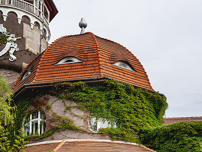 水塔的铺设屋顶和相邻的河床浴房 在拉申(现在的斯维特洛戈斯克)建造图片