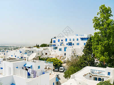 突尼斯的传统白色和蓝色房屋背景