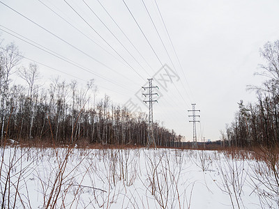 洛西尼奥斯特罗夫国家公园的电线塔 俄罗斯莫斯科埃尔克穆斯岛 冬季或初春风景麋鹿金属公园电源线森林工业木头技术图片