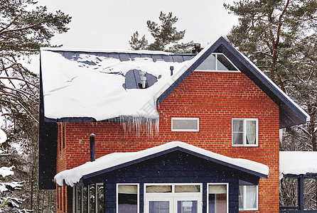 在冬季松树林的红砖乡间房子 雪下有冰柱图片