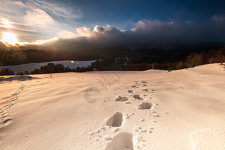 冬季Bieszczady山深雪的脚步试验图片