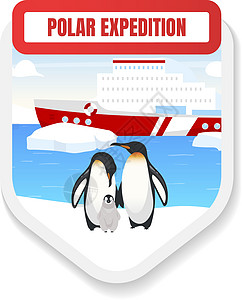 极地探险平面颜色矢量徽章 动物救援 企鹅观察 游船 旅游之旅 南极洲探险图形贴纸  Toursim 孤立的卡通设计元素图片
