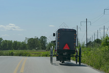 一匹阿米什马和马车 沿路行进的景象国家旅行动物马具风景车辆宗教运输哺乳动物阿米什图片