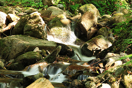 森林中的林中溪流自来水气候大自然苔藓岩石环境运动衬套生长宽屏图片
