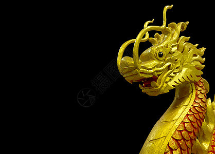 黑色背景的金色中国龙艺术宗教文化动物建筑学传统雕塑庆典生物寺庙图片