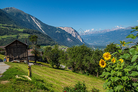 瑞士阿尔卑斯山景观外观建筑植物场景天空房子山峰环境山脉结构背景图片