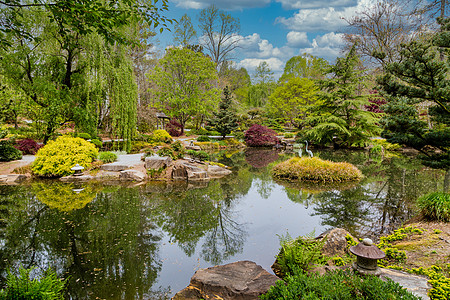 日本花园的尼斯湖图片