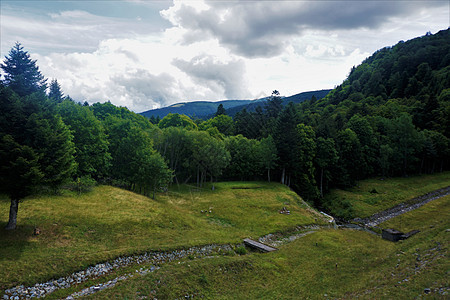 查看Vosges的典型景观图片