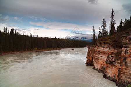 小径 加拿大艾伯塔省远足国家旅游绿色木头公园森林环境旅行岩石图片