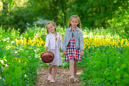 可爱的小姑娘们 在郁金香的花朵中漫步农业婴儿童年生长享受植物花束叶子露天季节图片