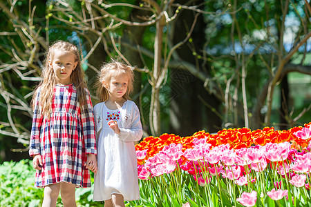 可爱的小姑娘们 在郁金香的花朵中漫步季节生长享受婴儿孩子空地场地自由花束花园图片