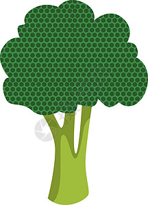 白色背景上的西兰花绿色饮食绘画花园墙纸植物烹饪插图蔬菜食物图片