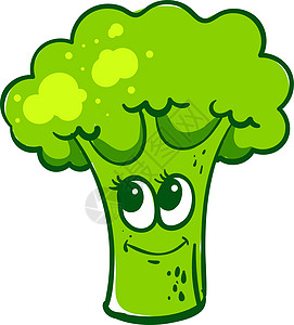 白色背景上的绿色营养烹饪农业蔬菜健康饮食食物图片