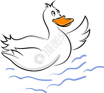白色背景上的白鸭插画矢量卡通片羽毛家禽农场健康动物鸭子草图绘画黑色图片