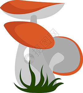 白色背景上的红色季节伞菌涂鸦森林卡通片植物艺术食物草图图片