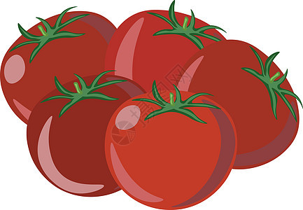 白色背景上的水果叶子插图红色农业蔬菜绿色植物食物卡通片图片