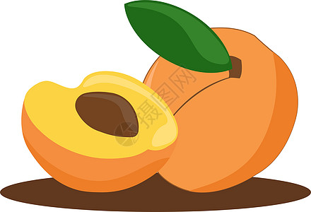 白色背景上的杏插图甜点草图食物饮食叶子艺术水果橙子图片