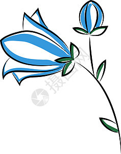 白色背景上的蓝色婚礼花园花瓣海报卡片绣球花植物水彩绘画叶子图片