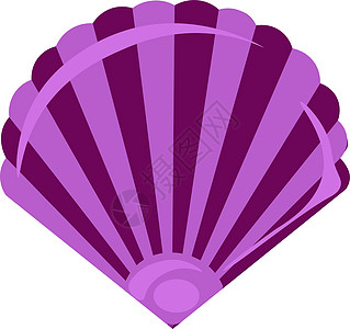 白色背景上的紫色扇贝卡通片贝壳牡蛎动物粉色热带海滩海洋图片