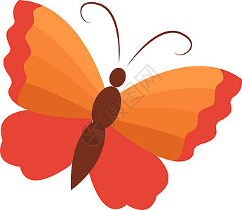 白色背景上的橙色蝴蝶绘画君主插图橙子黑色黄色蓝色昆虫庆典图片