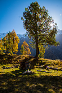 秋天瑞士阿尔卑斯山的风景山脉城市天空自然场植物绿色场景生长土地环境图片