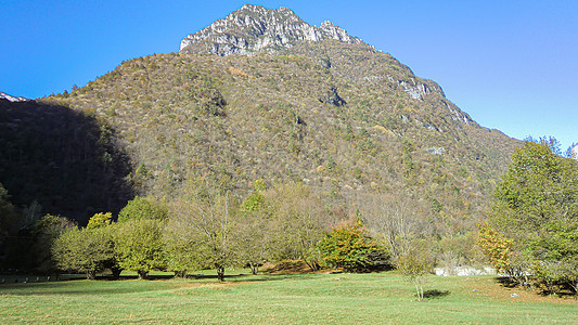 多洛米特的景观高山晴天蓝色森林岩石爬坡全景远足山脉季节图片