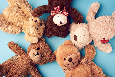 不同的泰迪熊躺在蓝色背景的头顶上 头和额动物工作室家庭礼物童年玩具柔软度毛皮孩子婴儿图片