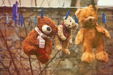 真人夹娃娃三只棕褐色湿泰迪熊 挂在衣绳上背景