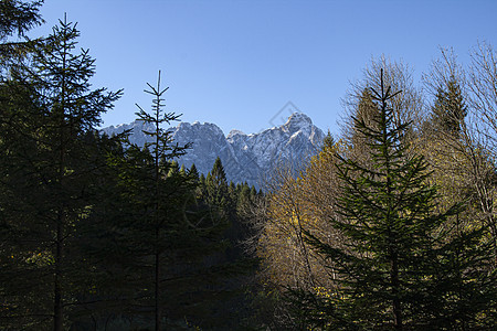 多洛米特的景观公园顶峰石头山脉环境爬坡季节旅行蓝色全景图片