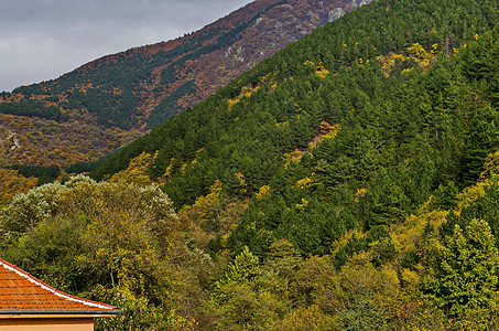 在马格里日附近的巴尔干山上 有丰富多彩的秋天森林 林中树木和花岗茂盛 树苗繁茂 并有堡垒风景叶子植物空地爬坡顶峰环境旅行天空季节图片