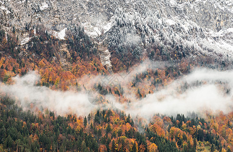 瑞士秋天斯维兹州因特拉肯之树的色彩繁多的山峰背景