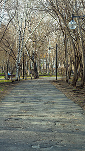 公园的坏路 秋天 春天 散步 空巷子图片