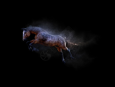 一匹马随尘粒效应而移动和跳跃图片