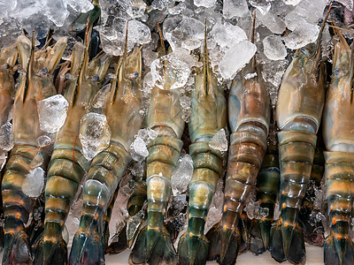 泰国海鲜市场压碎冰面上的新鲜黑虎虾海洋饮食餐厅对虾营养甲壳美食动物老虎生活图片