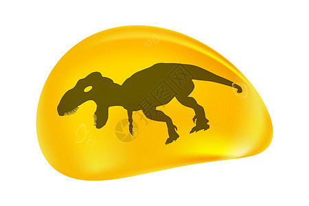 恐龙在一滴琥珀中被隔离在白色背景上 树脂化石图片
