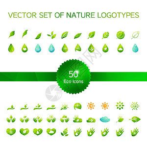 生态图标 自然标志插图生活活力商业生物学回收叶子情感环境生物图片